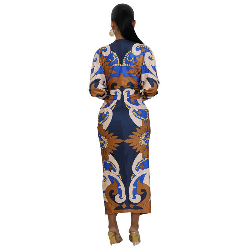 Womens Deep V-Neck Long Sleeve Printed Dress